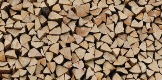 Jak opisać strukturę rodziny?