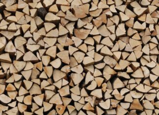 Jak opisać strukturę rodziny?