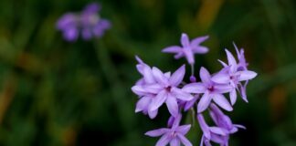 Jak modlić się za rodzinę?