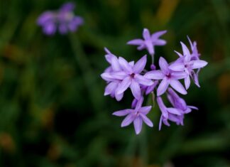 Jak modlić się za rodzinę?