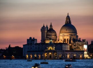 Czym zajmuje się Tadeusz w Pożegnaniu z Marią?