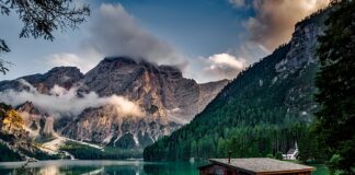 Dlaczego wszędzie dobrze ale w domu najlepiej?