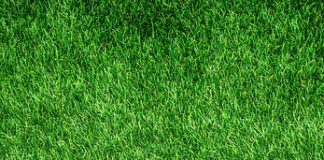 Czy Grunt można nakładać pistoletem?