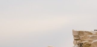 Ile obrotów ma przecinarka do metalu?