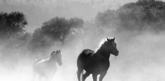 Jak przeciąć cegłę żeby nie było pyłu?