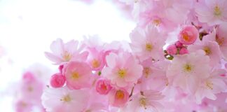 Jak zrobić ozdobne jajka na święta wielkanocne?