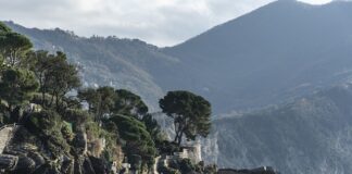 Ile kosztuje kleju na gorąco?