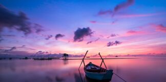 Jaki kolor ścian do WC?