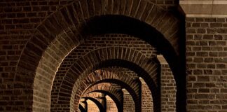 Jakie półki do piwnicy?