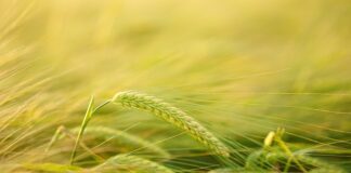 Jak przyciąć listwę pod kątem 45 stopni?