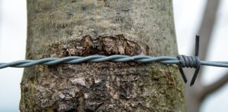 Jak Naostrzyć piłę tarczową?