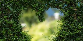 Jak zrobić zielone jajka?