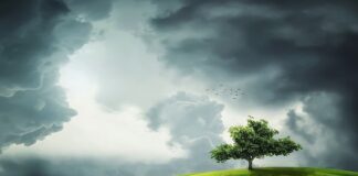 Jak uzyskać zielony barwnik do jajek?