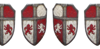 Czy ostrzy się tarcze widiowe?