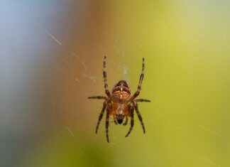 Ile kosztuje kątownik 30x30?