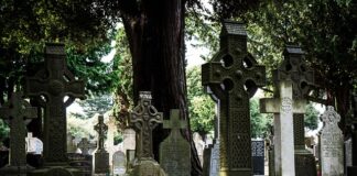 Co zamiast wyrzynarki?