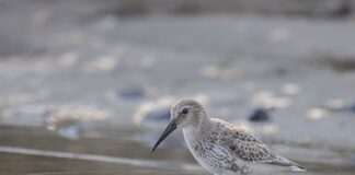 Czym zakleić pęknięcie w brodziku?