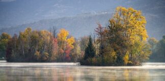 Czym różni się gres od płytki ceramicznej?