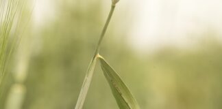 Kiedy jest patologia w domu?