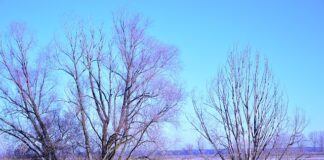 Jak rozmawiać o niepłodności?