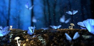 Jak samemu przetrzeć drewno?