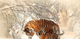 Jak brak matki wpływa na dziecko?