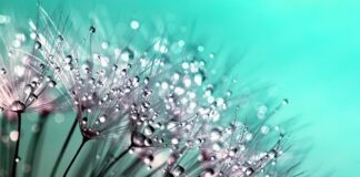 Czy kropelka jest mocna?