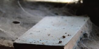 Czy warto samemu układać płytki?